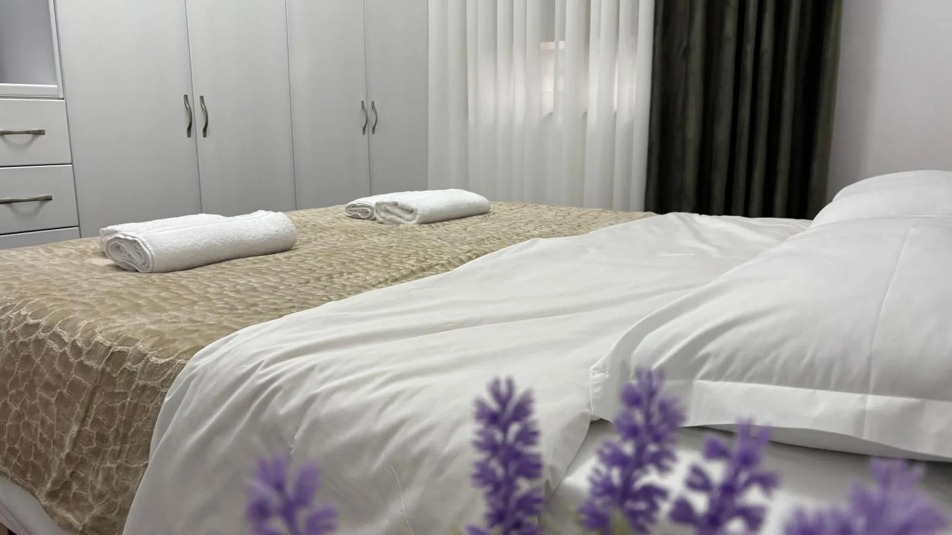 Апартаменты Palpoja Home Тирана